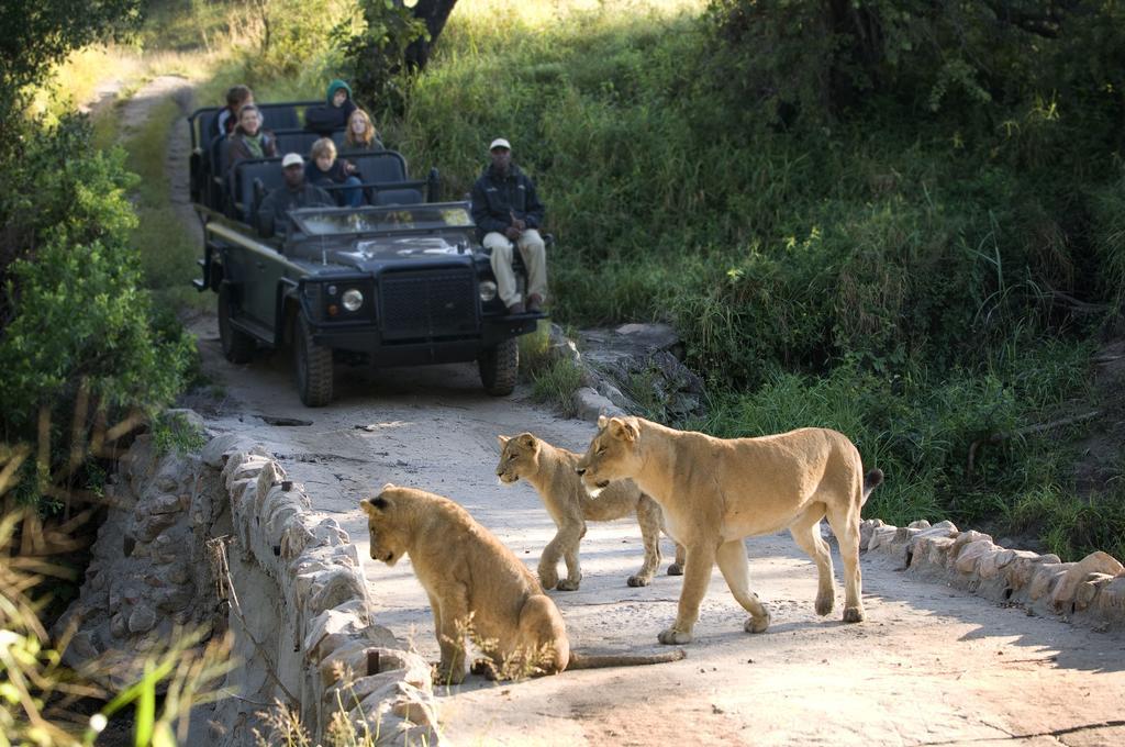 Lion Sands - Tinga Lodge Skukuza Exterior foto